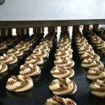 Padovani-Technology-Extruded-Biscuits-Dropping-Machine-Biscuit-23