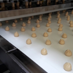 Padovani-Technology-Extruders-Biscuits-Diaframmi-3