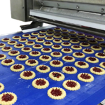 Padovani-Technology-Rotary-Moulding-and-Decorating-RWS-RWSD-Biscuits-10