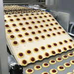 Padovani-Technology-Rotary-Moulding-and-Decorating-RWS-RWSD-Biscuits-11