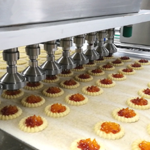 Padovani-Technology-Rotary-Moulding-and-Decorating-RWS-RWSD-Biscuits-12