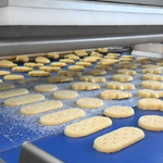 Padovani-Technology-Rotary-Moulding-and-Decorating-RWS-RWSD-Biscuits-13