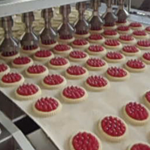 Padovani-Technology-Rotary-Moulding-and-Decorating-RWS-RWSD-Biscuits-14