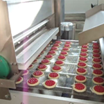 Padovani-Technology-Rotary-Moulding-and-Decorating-RWS-RWSD-Biscuits-15