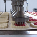 Padovani-Technology-Rotary-Moulding-and-Decorating-RWS-RWSD-Biscuits-17