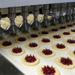 Padovani-Technology-Rotary-Moulding-and-Decorating-RWS-RWSD-Biscuits-8