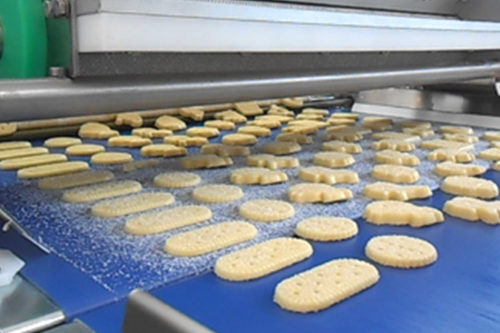 Padovani-Technology-Rotary-Moulding-and-Decorating-RWS-RWSD-Biscuits-13
